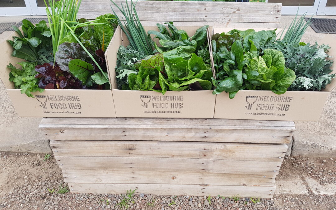 Launching Weekly Veggie Boxes