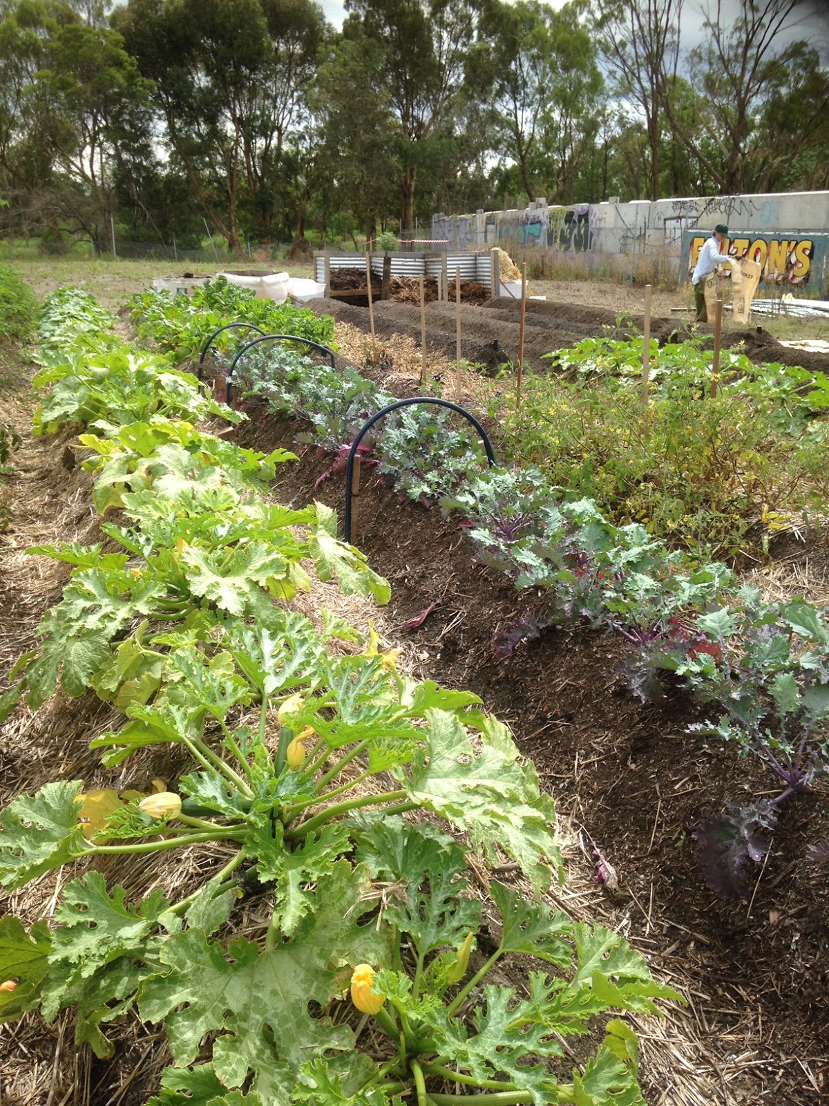 Climate Smart Food: Gardening in a Changing Climate – Part 2