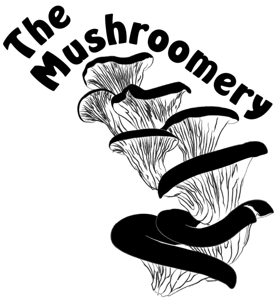 Weekly Urban Mushroom Subscription - Melbourne Food Hub